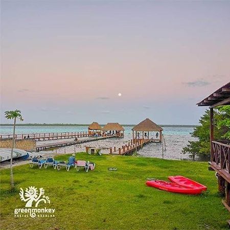 Green Monkey Hostel Bacalar Exterior photo